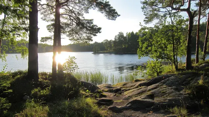 En fridfull sjöscen i Sverige med solen lågt på himlen som kastar ett varmt sken över landskapet. Träd och stenar ramar in utsikten, medan högt gräs och lugnt vatten reflekterar ljuset. Den inbjudande stigen mellan träden leder till vattenbrynet, vilket tyder på lugn och naturlig skönhet.